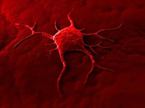 Este domingo 04 de febrero es el Día Mundial contra el Cáncer