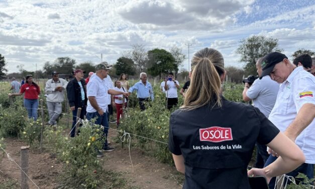 Siembra Esperanza cierra su III edición con herramientas para el foco de la postcosecha
