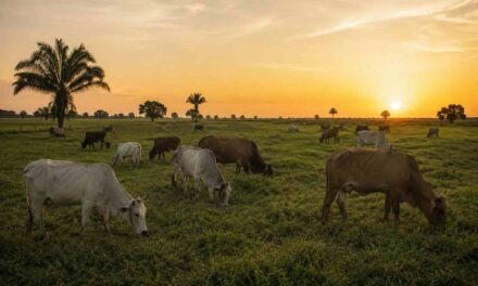 Producción de leche en Venezuela supera los 4,5 millones de litros al día